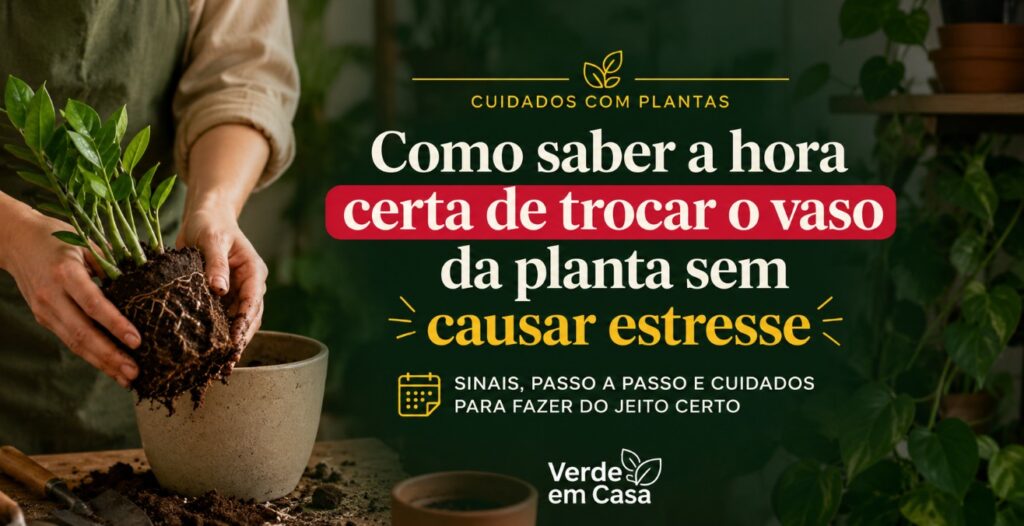 Como saber a hora certa de trocar o vaso da planta sem causar estresse