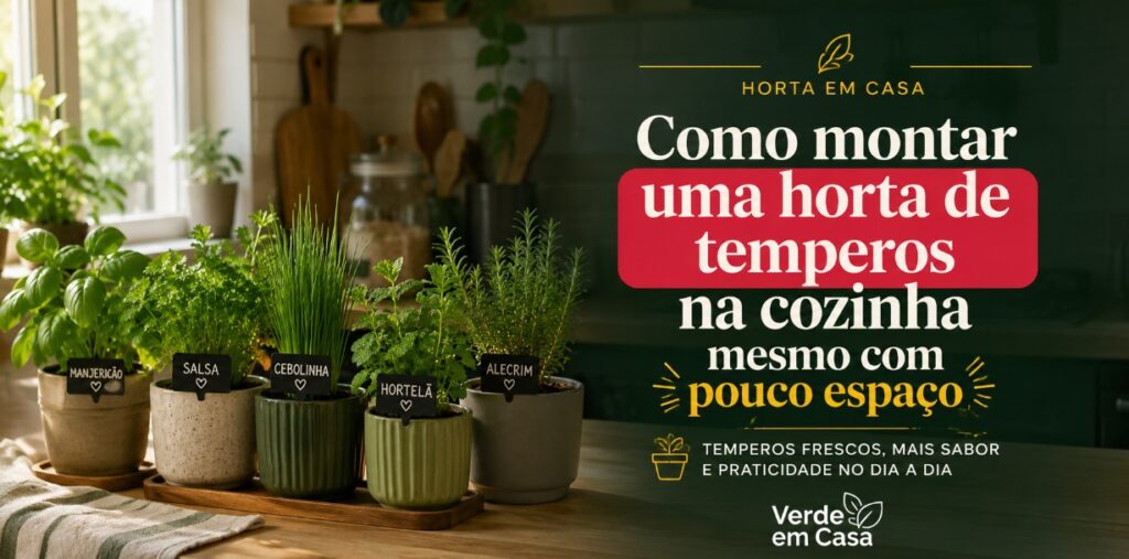 Como montar uma horta de temperos na cozinha mesmo com pouco espaço