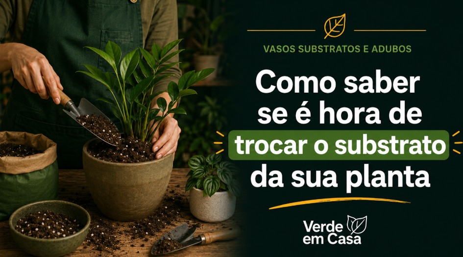 Pessoa renovando o substrato de uma planta em vaso sobre uma mesa de jardinagem